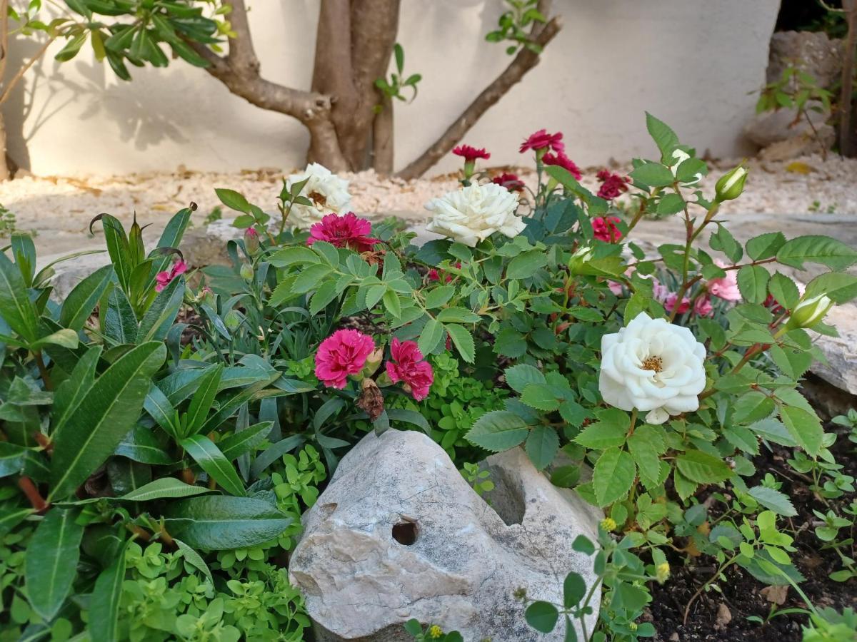 Appartement Milena Barbat na Rabu